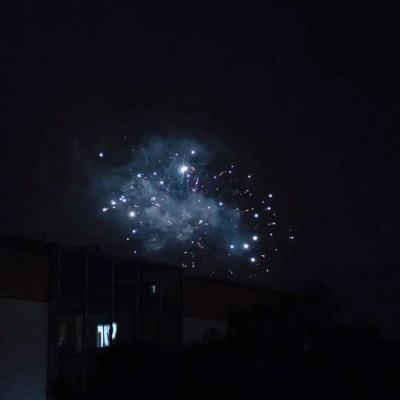 黄金之路果盘版下载